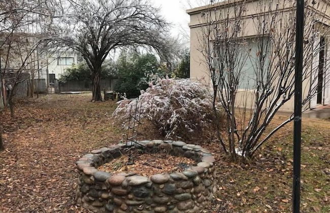 Dark Green House - Chacras de Coria - Photo 73