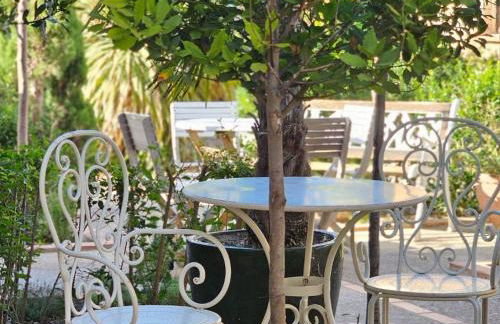 Beautiful Alamedas, un santuario donde el tiempo se detiene - Foto 139