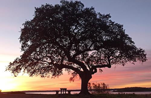 Casa da Vila - Foto 39