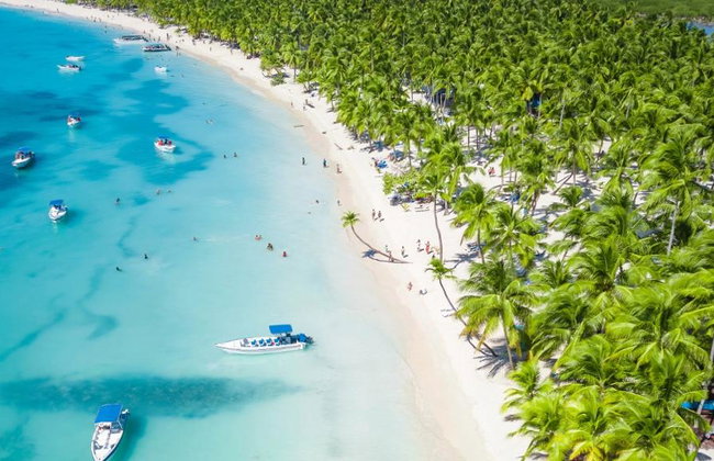 Saona Island - Full-Day Tour with Hotel Pick-Up - Foto 4