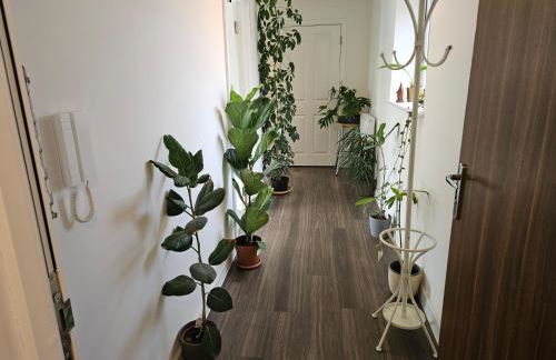 Stylish 1BD Flat with Parking Hackbridge - Foto 24