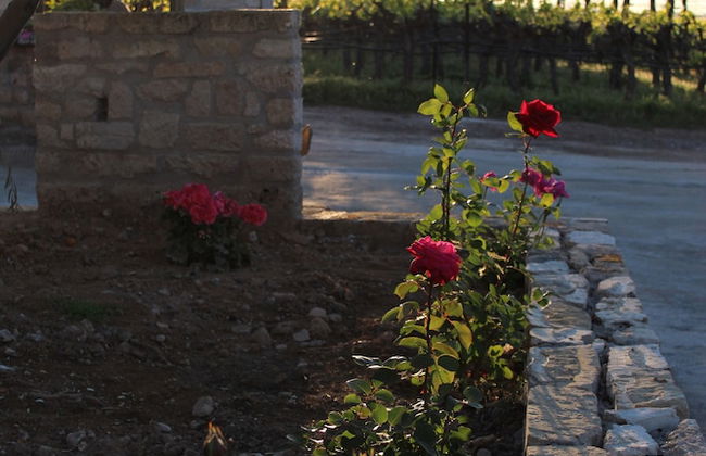 Acrocorinth Apartments - Foto 57