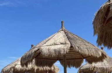 Villa Dams - Foto 17