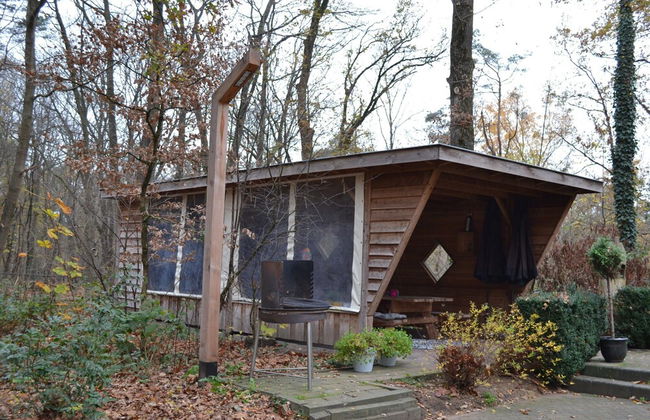 Villa in Lunteren With Heated Pool - Foto 23