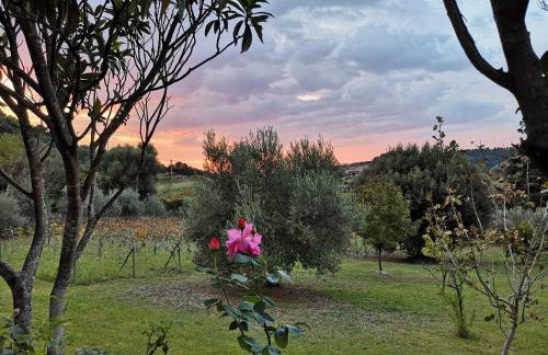 La Tinaia Country House - Foto 105