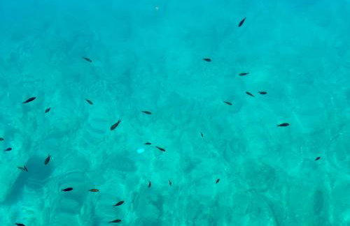 Luxury Adria Makarska - Sea & Mountain View, Whirlpool and Free Parking - Foto 39