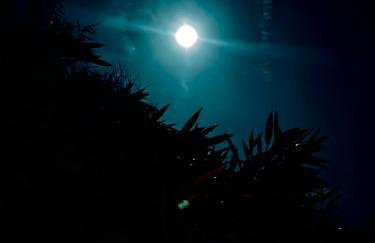 Naturerlebnis direkt am Traumpfad - Photo 8