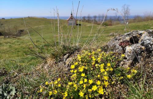 Appartment Schlossblick - Foto 24
