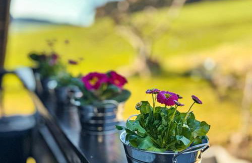 Haus Sonnenhang Wohnung 2 - Foto 21