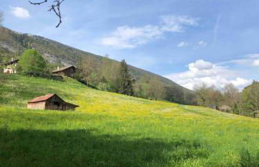 Chalet la Cabane d'Ernestine, petit-déjeuner inclus - Foto 30