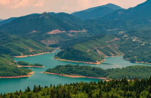 Little House - Photo 12