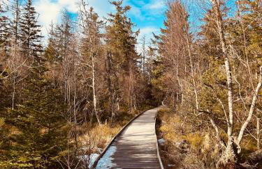 Kuckucksnest - Ferienwohnung mit Traumblick im Schwarzwald - Foto 43