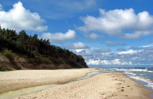 Domy wakacyjne WELLE - Foto 37