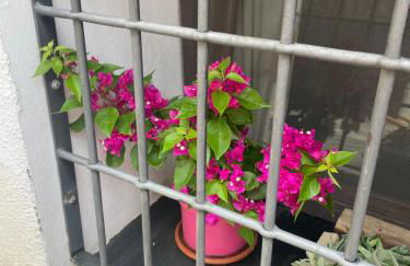 La Cuadra de Anita - Foto 24