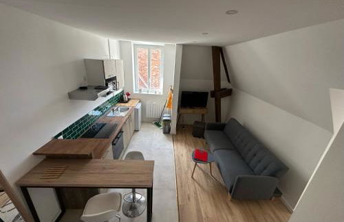 L'Herboriste - Appartements meublés - Photo 65