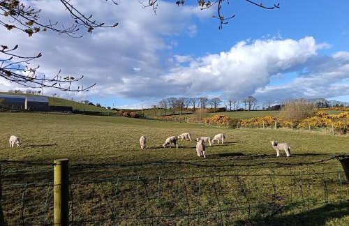 Rowan Tree Cottage, Ballycastle - Foto 18