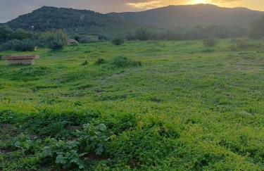 Lagunetas Rural Benalup - Foto 16