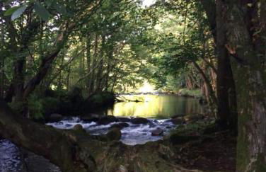 SNOWDON LODGE - GLAN GWNA HOLIDAY PARK CAERNARFON - Luxury Family Lodge - Foto 65