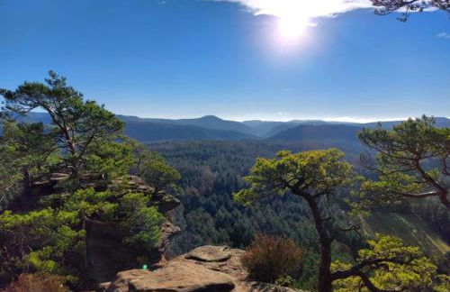 Neugärten - Foto 30