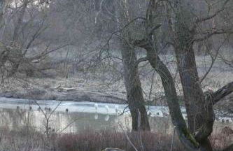 Fachwerkhaus am Fluss - Foto 35