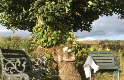 Elishaw Farm Holiday Cottages - Foto 43