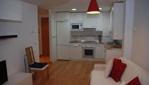 TU APARTAMENTO EN EL VALLE DE TENA en ESCARRILLA - Foto 4