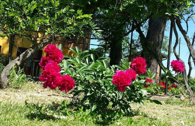 Fondo Giardinetto - Photo 33