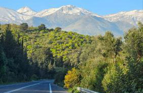 Gardenia Sun & Pool - Foto 28