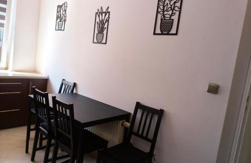 SDH 3 Wolomin comfortable apartment near Warsaw - Foto 17