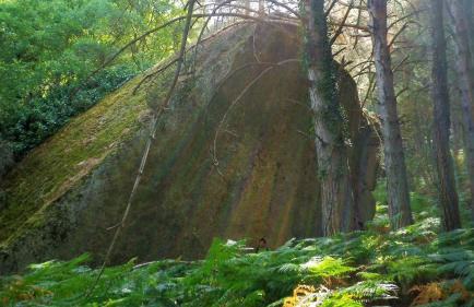 Casa rural El rincón de Gredos - Photo 31