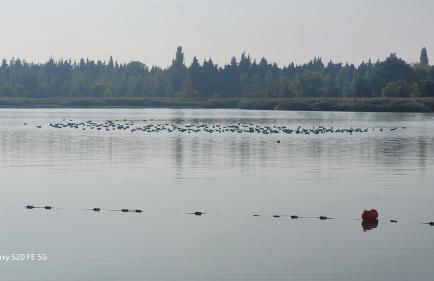 Beau studio Monteux, balcon vue Lac, près de Spirou Provence - Photo 34