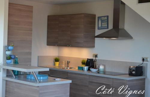 La Bastide - Le Grenache - Le Syrah au Domaine Chateau Henri Bonnaud - Foto 41