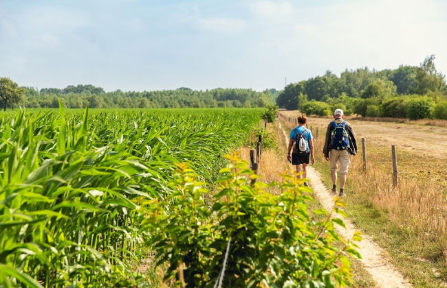 Fine Chalet near Water with Woodfired Hot Tub - Foto 31