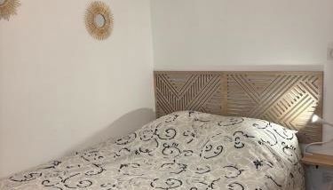 Le joli petit Bannier T2 Neuf , Fibre - Foto 5