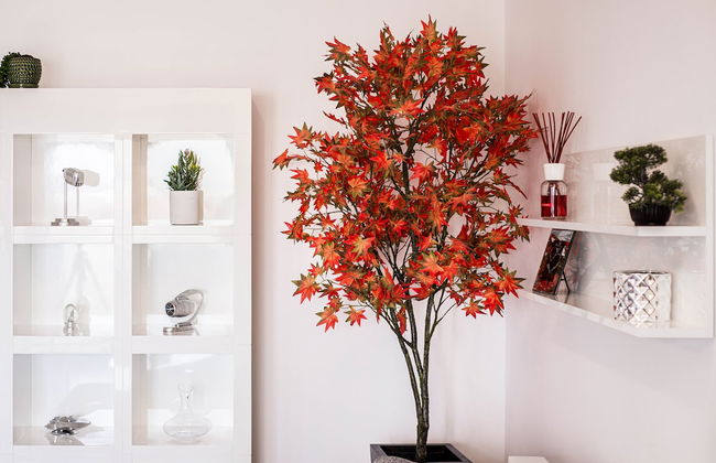 Luxury Penthouse Plaza Residence P1 - Foto 18