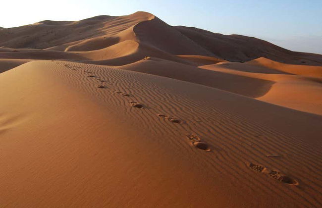 Excursion de 2 jours dans le désert de Merzouga jusqu'à Marrakech - Photo 4