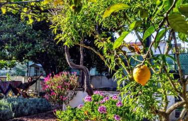 Páteo da Memória Casa do Pintor - Foto 18