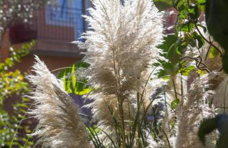 Apartment Bruno - Foto 33