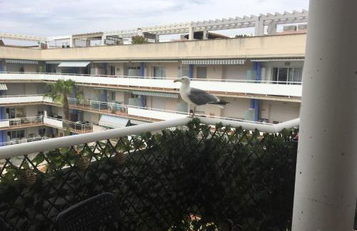 Superbe appartement avec solarium et piscine communautaire - Photo 13