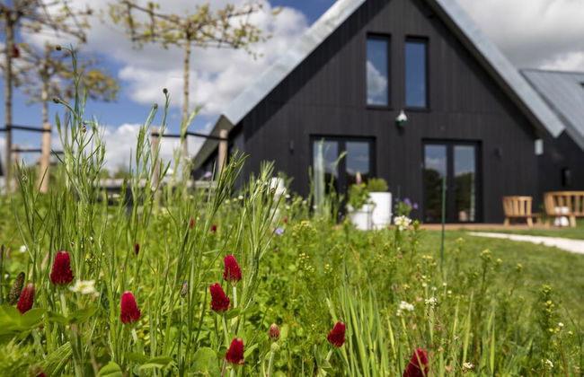 Beautiful Villa With Spacious Garden - Foto 29