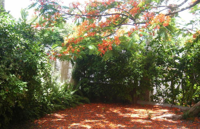 Villa Sirandane, Baie Du Tombeau - Foto 23