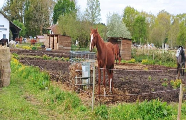 Apartment in Biscarrosse by the Beach - Foto 15