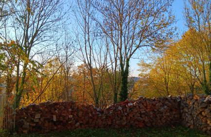 Meisterhaus Apartment 2 - Foto 24