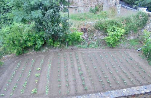 Periklis Guesthouse Anavriti. - Foto 31