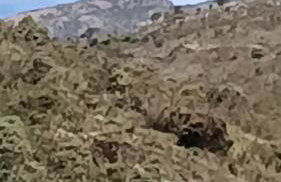 Chalé Montanhez hidromassagem piscina - Foto 35