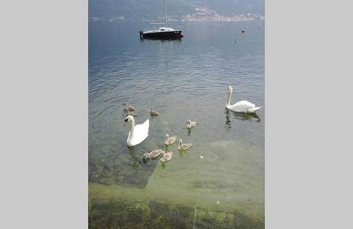 Appartamento vista Lago - Mary - Foto 29