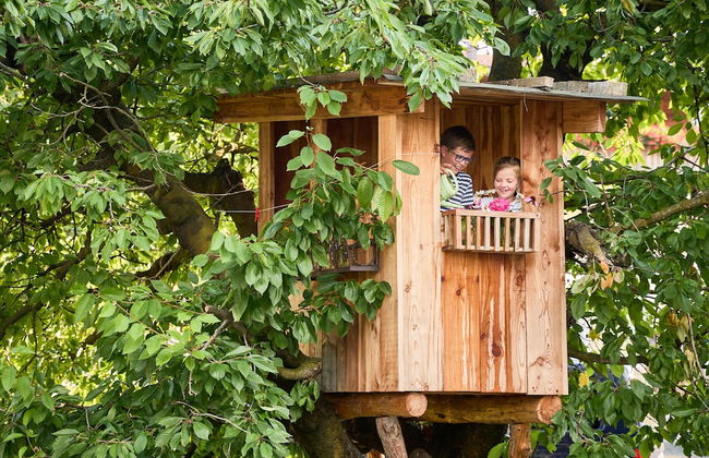 Residence Schiestlhof - Foto 60