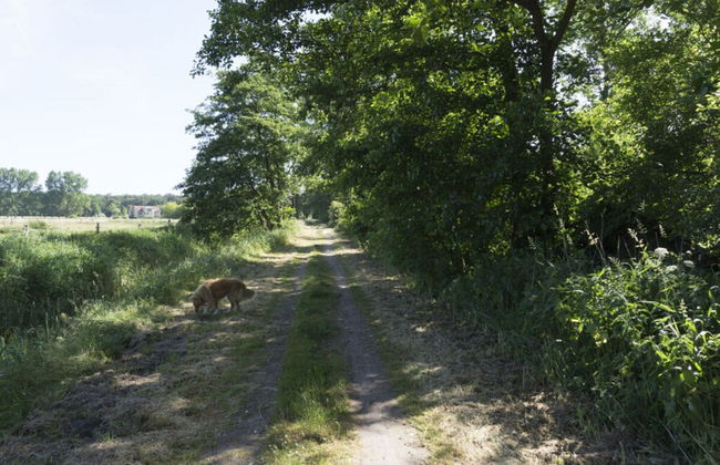 Holiday Home Friedchen - Photo 25