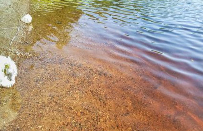 Pastin Mökki - Photo 6