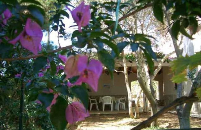 Vis Apartments - Foto 17